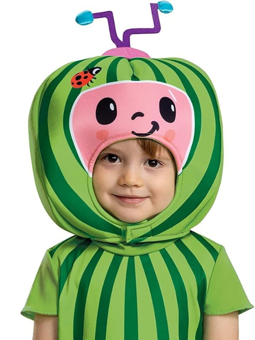 NWT Cocomelon Watermelon Kids Costume Disguise size 2T or 3T-4T